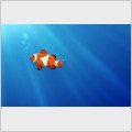 ���� / Nemo